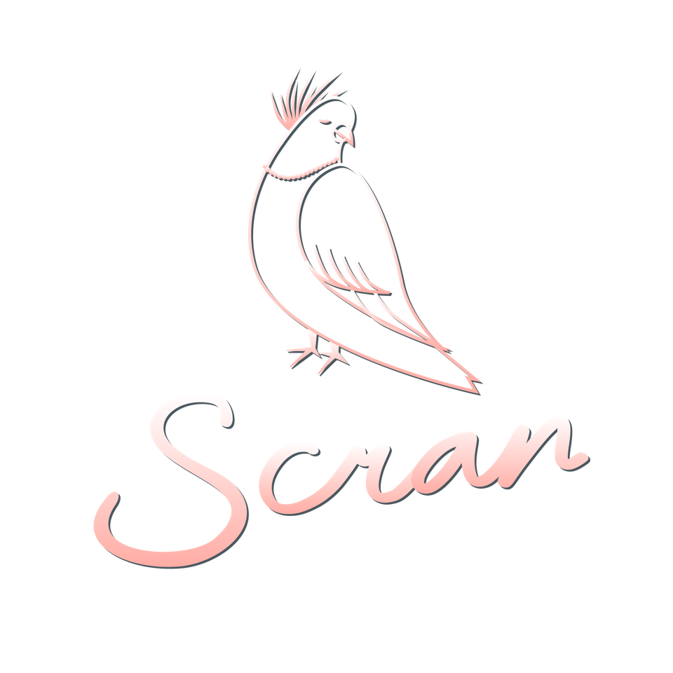 Scran logo